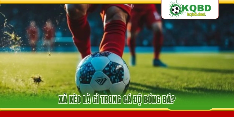Mẹo xả kèo bóng đá trong cá độ thể thao là gì?