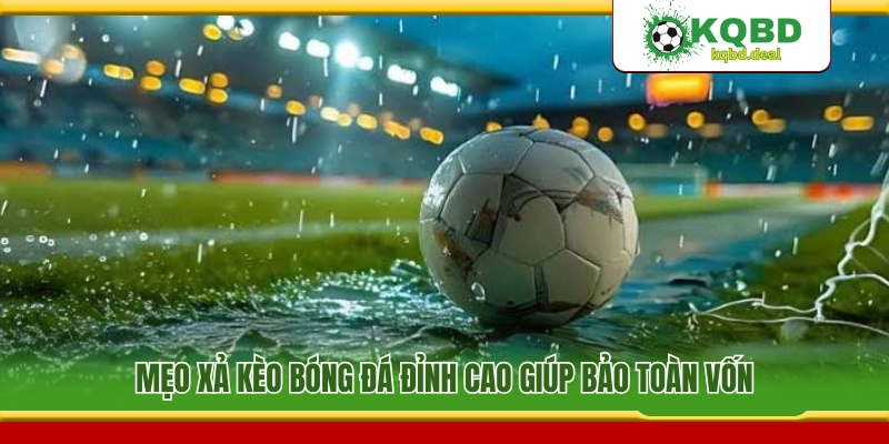Bí quyết xả cược cực chuẩn giúp giữ an toàn nguồn vốn